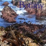 Macroalgae Drag Reduction