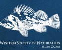 WSN2012_Rockfish